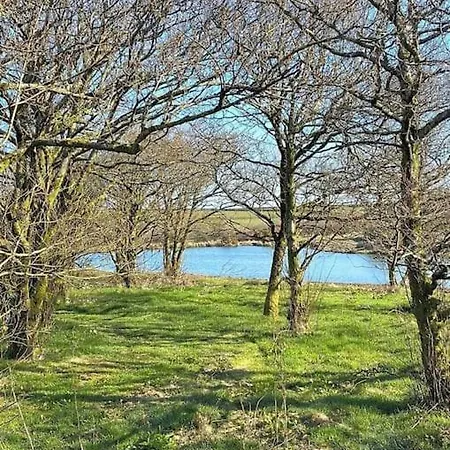 Venn Down Lakes Holiday home *